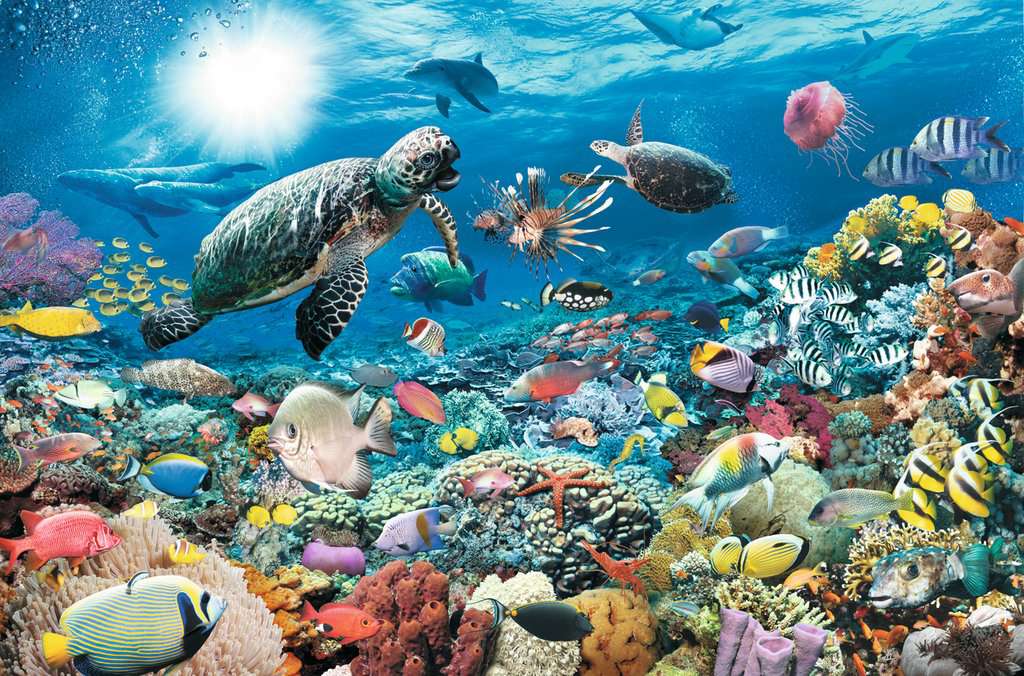 RAVENSBURGER 5000PC - UNDERWATER TRANQUILITY