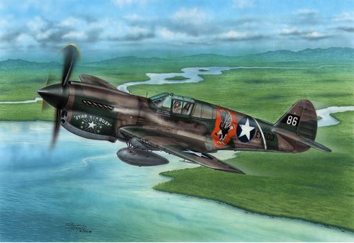 Special Hobby 1/72 P-40E Warhawk 'Claws and Teeth'