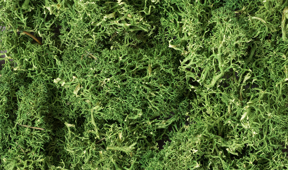 WOODLAND SCENICS Lichen - Medium Green (1.5qt)