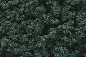 WOODLAND SCENICS Bushes Bag Dark Green/18 ci