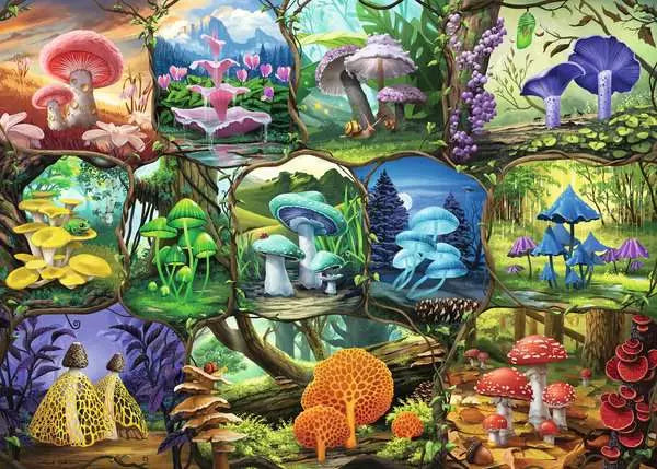 RAVENSBURGER 1000PC - BEAUTIFUL MUSHROOMS