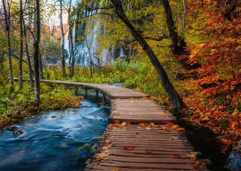 RAVENSBURGER - 1000pc - AUTUMNAL FOREST PATH