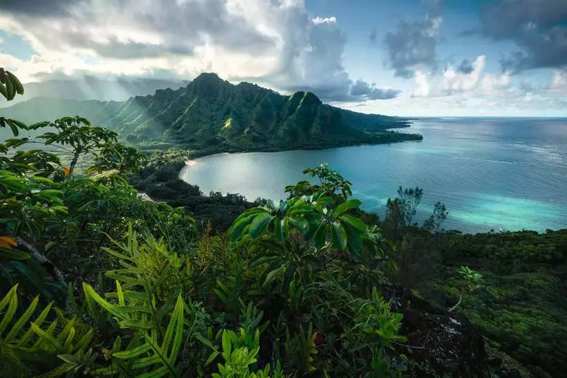 RAVENSBURGER 5000PC - HAWAIIAN VIEWPOINT
