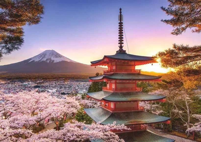 RAVENSBURGER 1000PC - MOUNT FUJI CHERRY BLOSSOM VIEW