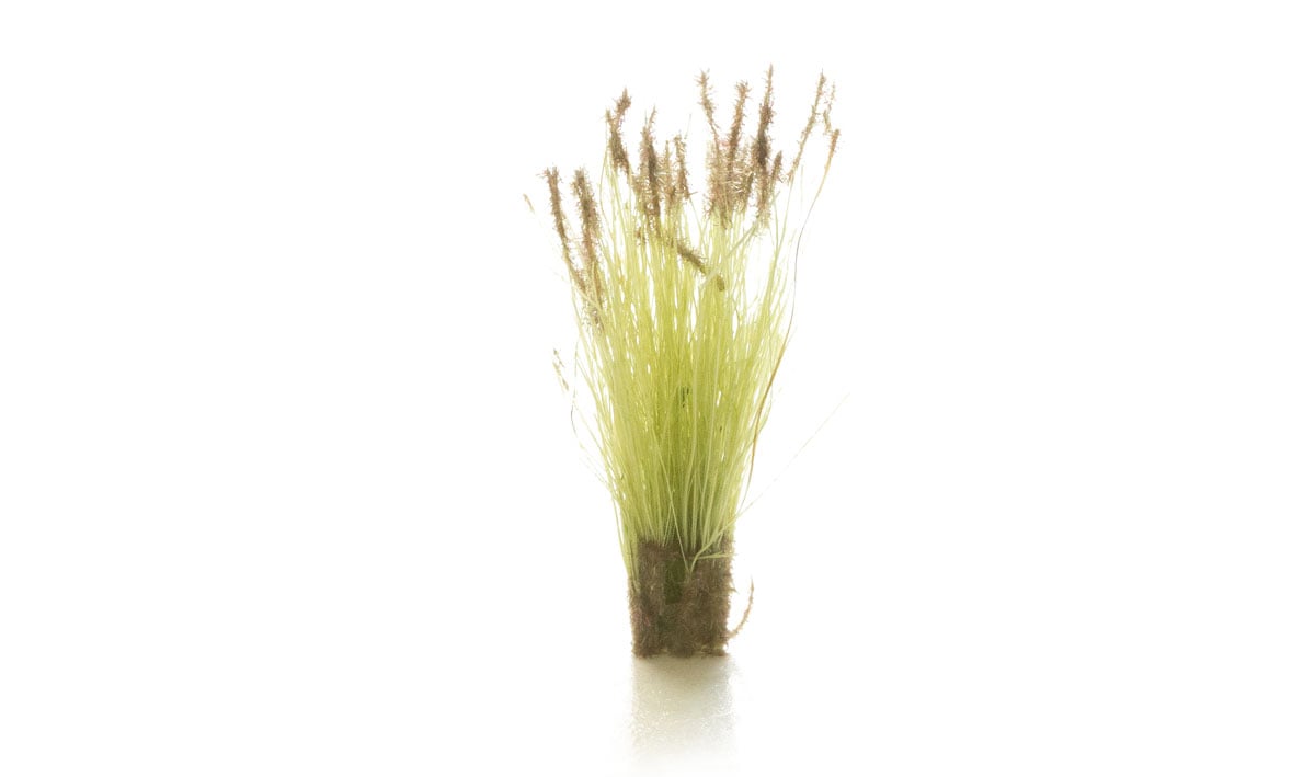 WOODLAND SCENICS Brown Tipped Prairie Grass