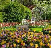 RAVENSBURGER 1000PC - BEAUTIFUL GARDENS: KEUKENHOF GARDENS NETHERLANDS