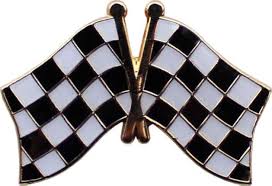 RACING FLAG PINS