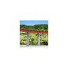 Kato 20-470 N Curve Deck Single Track Girder Bridge, Red