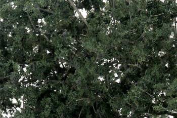 WOODLAND SCENICS Fine Leaf Foliage Dark Green/75 ci