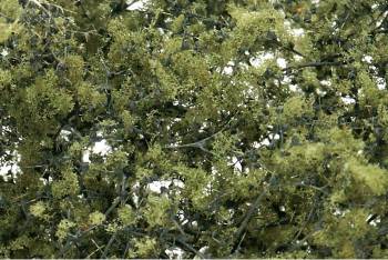 WOODLAND SCENICS Fine Leaf Foliage Olive Green/75 ci