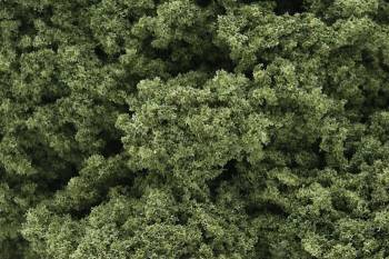 WOODLAND SCENICS Foliage Cluster - Light Green
