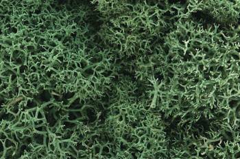 WOODLAND SCENICS Lichen - Light Green (1.5qt)