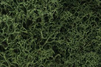 Lichen - Medium Green (1.5qt) By WOODLAND SCENICS