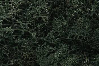 WOODLAND SCENICS Lichen - Dark Green (1.5qt)