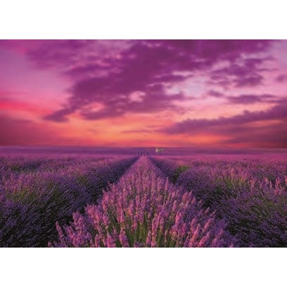 CLEMENTONI 1000pc - LAVENDER FIELD